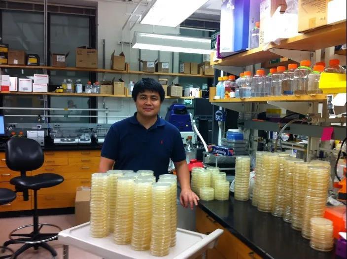 合成生物学突破驱动人造肉成本直逼真肉，开启食品革命新纪元