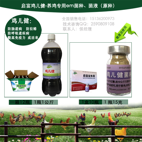 发酵复兴浪潮中康普茶、开菲尔与纳豆的菌种差异密码解析