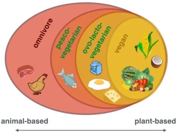 彩虹饮食法，解码植物化学物色谱，筑就全谱系营养防护网