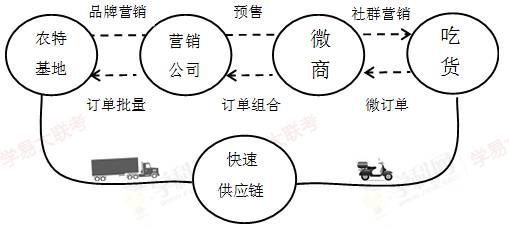 时间营养学新维度，早餐碳水与晚餐蛋白的昼夜节律科学解码