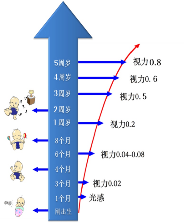 0-6岁儿童分阶段护眼全方案，家长必看的视力保护指南