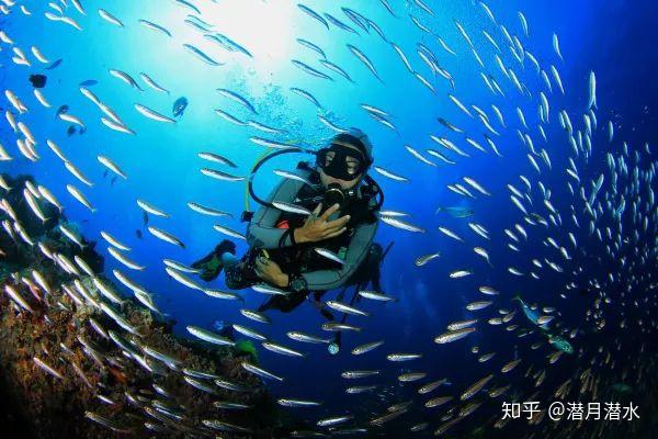 潜水考证全攻略，OW与AOW岛屿选择及费用明细解析